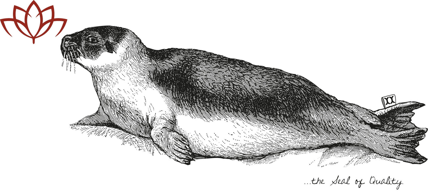 T-Shirt - Yam the Seal